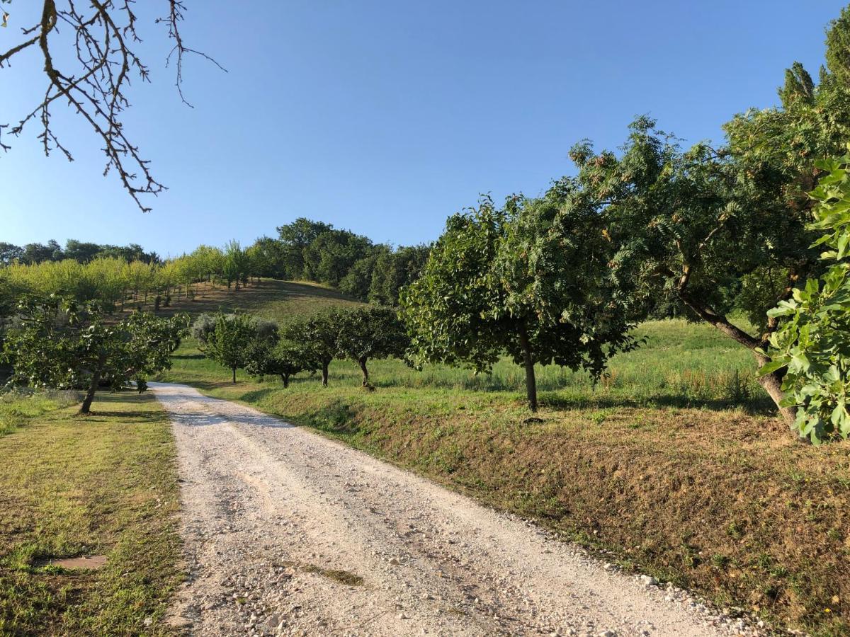 Dai Ventu Bed & Breakfast Pesaro Eksteriør bilde